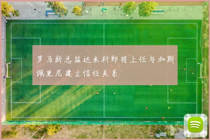 罗马新总监达米科即将上任与加斯佩里尼建立信任关系